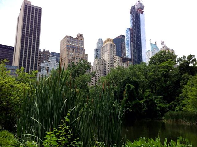 Beautiful Central Park